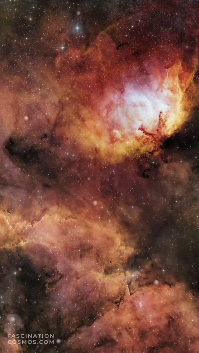 Tulpennebel SH2-101
Wie eine riesige, kosmische Neonröhre erstrahlt der Tulpennebel - exakte Katalogbezeichnung: SH2-101 - im All. Diese rotleuchtenden H-II-Regionen sind riesige Gasmassen, Brutstätten neuer Sterne. Sie sind das Ergebnis junger, energiereicher Sterne, die den Nebel mit UV-Strahlung geradezu „bombardieren“. Die Wasserstoffatome verlieren dabei ihre Elektronen, fangen sie wieder ein – ein Prozess, bei dem auch hier das charakteristische rötliche Licht dieses Emissionsnebels freigesetzt wird oder besser wurde, da dieses Licht ja bereits vor 6000 Jahren seine Reise zu uns begonnen hat.
Aufgenommen in meiner Gartensternwarte mit dem Lacerta Newton 12", 1200mm, f/4, QHY268M Monokamera mit 7 Filtern, QHY OAG-Nachführung mit ASI-174MM-Mono-Nachführkamera und mit einem SestoSenso2-Fokusser, alle auf einer Celestron CGX montiert. Belichtet mit 34 Schmalbandaufnahmen zu je 600s, 16 LRGB Aufnahmen mit je 120s, in Summe etwas mehr als 6 Stunden Aufnahmezeit. Mit Astro Pixel Prozessor, Pixinsight, Adobe PhotoShop verarbeitet und das Bild als Video animiert und vertont.
Bitte gerne meine Post weiterleiten ! Jedwede andere Art von Kopien oder Nutzung nur mit ausdrücklicher Erlaubnis des Copyright Inhabers. Bestellung von Kopien und Bildern gerne unter https://photo-portal.shop/profiles/fascinationcosmos.com/#/ oder per Nachricht an mich.
#fascinationcosmos #faszinationkosmos #franzrettenbacher #astrophotography #astrofotografie #astrophoto #astrofoto #deepsky #astronomie #astronomy #amateurastrophotography #qhy268m #CelestronCGX #deepspace #SH2-101 #Tulpennebel #tulipnebula