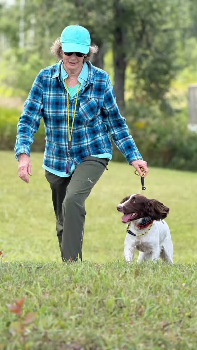 ✨ Always Improving, Always Learning ✨
At Craney Hill Kennel, we’re not just training dogs—we’re building lasting partnerships. Every day, we work to improve our clients’ knowledge so they can truly understand their dogs and create stronger relationships built on trust, patience, and consistency.
Because when you grow as a handler, your dog grows with you. 🐾
Together, you become a team that thrives in the field, in competition, and at home.
👉 Training the dog is only half the journey—training the owner is what completes it.