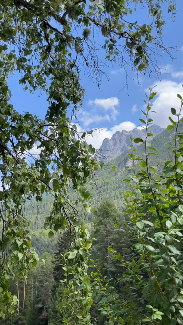 Spätsommer - Genuss - Switch - Tapetenwechsel
#austausch #natur #sport #freundschaften #gespräche #kultur #wellnesss #stampariastrada #seelenwellness #engadinscuolzernez #sent #sanjon #valsinestra #hofzuort #reiten #mountainbikelifestyle #mentalhealth #hike #enjoinglife #berghausavrona #avrona #enjothemoment♥️ #enjothelittlethings #natura #flora #tarasp