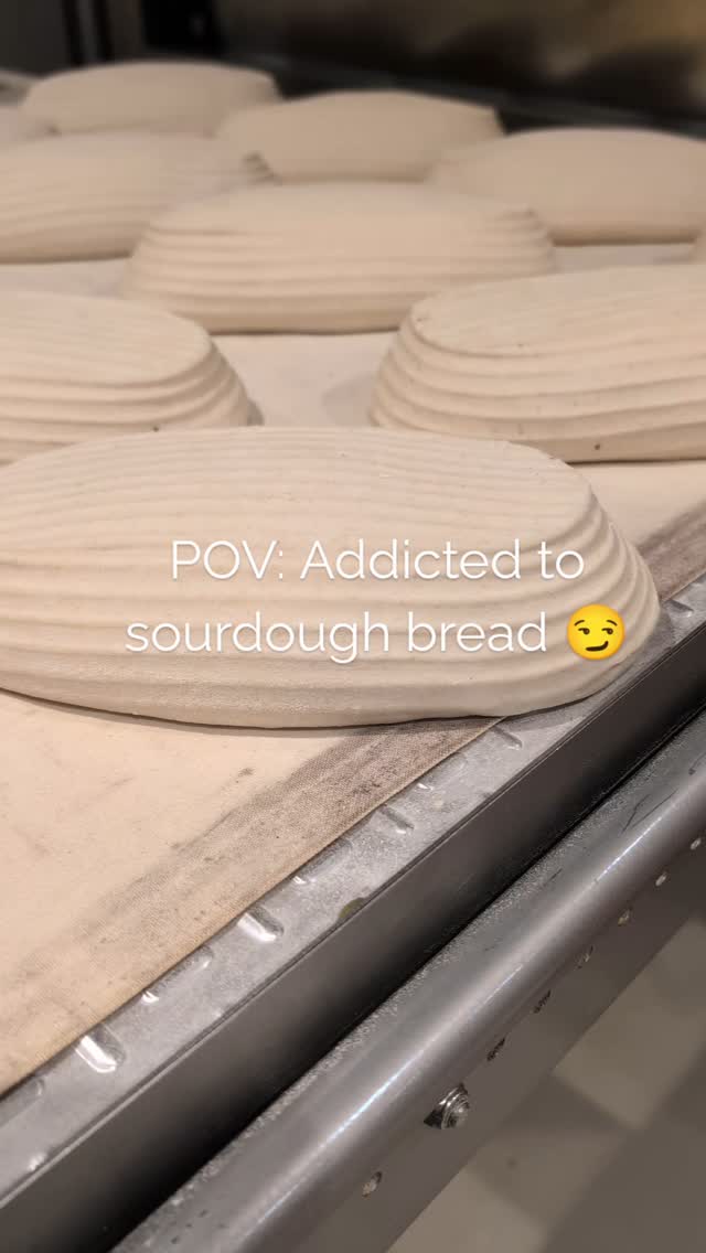 Wanna know how to scale up your bread game? Join our classes and I'll share with you all I know! šÆ
Next available workshop 10th October ā¼ļø
www.sipregoartisanbaking.com
#crumbshot #crumb #opencrumbmastery #sourdough #sipregobreadworkshops #painaulevain #naturallyleavened #sourdoughbread #homemadebread #mustdobrisbane #realbread #sourdoughbread #sourdoughbaking #sourdoughclub #sourdoughlove #wholewheatsourdough #wholewheatbread #breadstagram #homebaker #homebakedbread #brisbanesourdough #crumbshot #glutenfreesourdough #glutenfreebrisbane #glutenfreesourdoughbrisbane #brisbanesourdoughclasses #howtomakesourdoughbrisbane #beginnerssourdoughbrisbane #baguettesclassbrisbane #brisbanebestsourdough