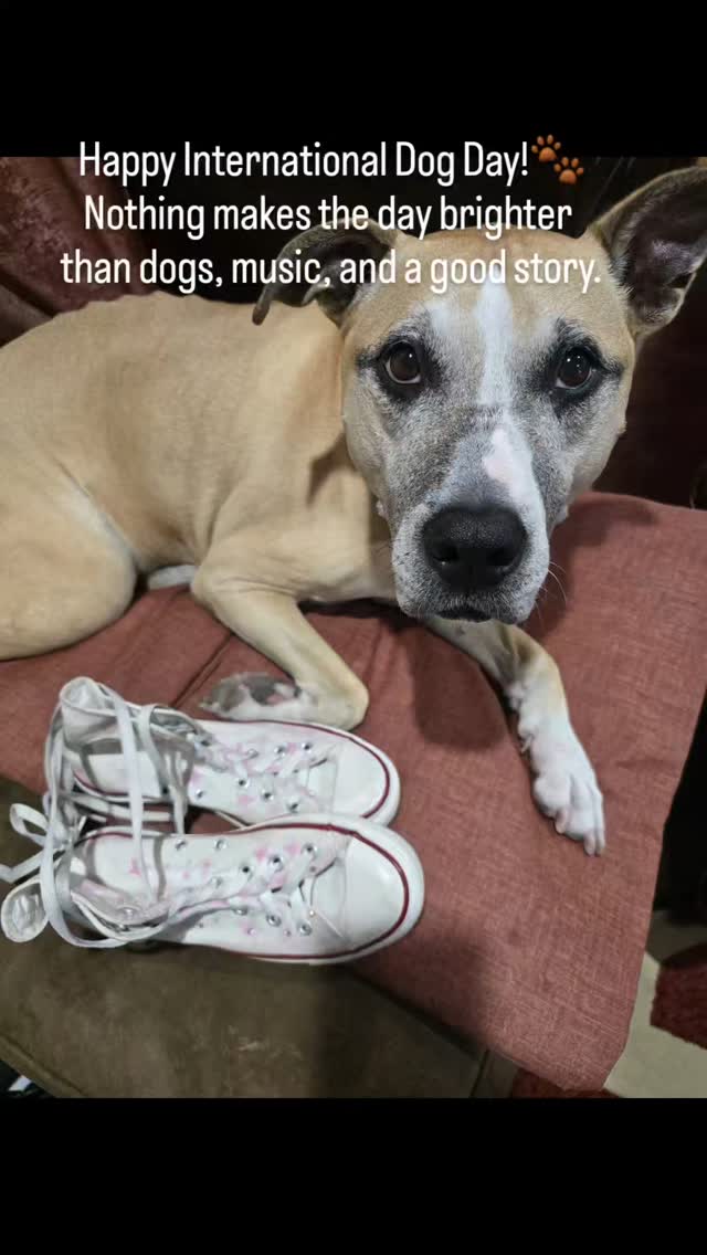 Dogs + music = joy ... countdown to Broken Melody#dog #magicalrealism #debutnovel #fictionwriter #writingcommunity #chucktaylor #author #wrìterslife #authentic #amwriting #growthmindset #brokenmelody #dogdays #kmcookie #author