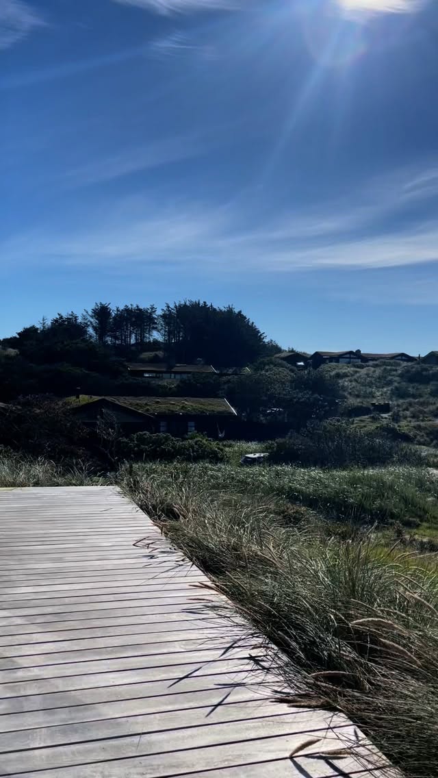 THE SUMMER I STAYED IN DANISH SUMMERHUS!🌾🐚🫧🦞🦐
#danish #summerhus #travel #traveltodenmark #virtuoso #travelagent #thesummeriturnedpretty #tsitp