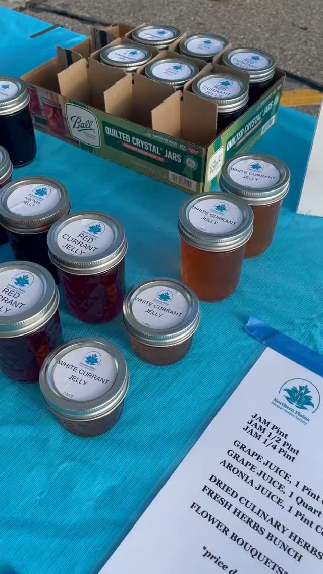 Stop by and visit us at The Market @westacresmall today from 9AM-3PM! Our amazing vendors are touting baked goods, fresh produce, canned goods, body products, and more! We hope to see you on this beautiful day!