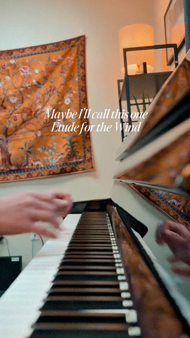 Late summer - when the evenings start to cool and the leaves begin to flutter…
#solopiano #cinematicmusic #modernclassical #stavrosfirst #filmcomposer #minimalistmusic #fyp