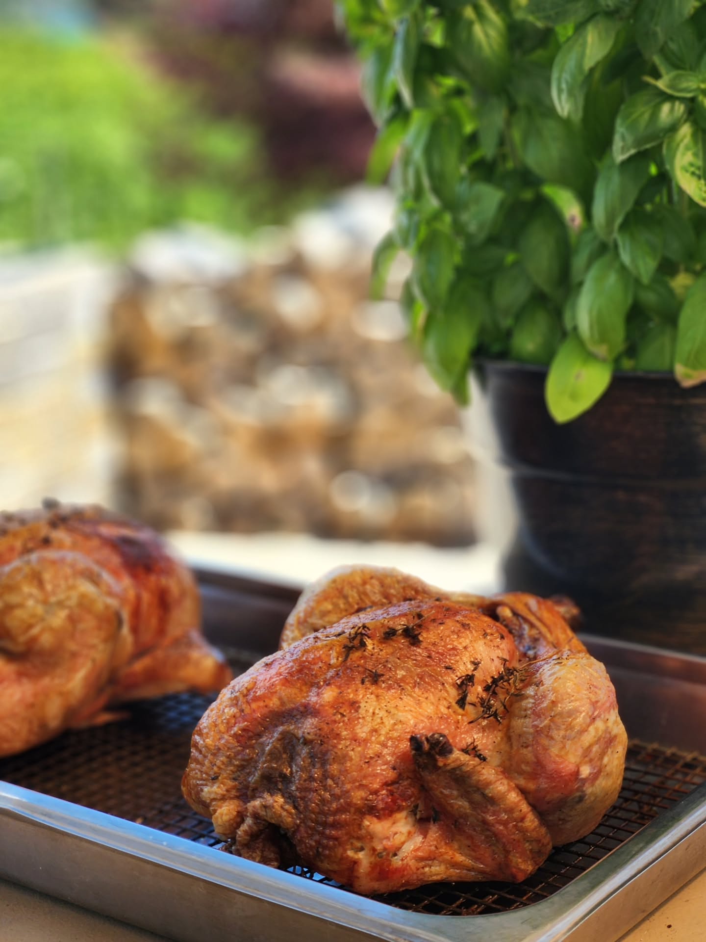 ✨ New on the menu ✨
Thyme-roasted chicken pie, made with Waupoos farm-raised chicken, back 40 potatoes, summer peas & carrots, and finished with house-made tomato jam and fresh greens.
Comfort food, crafted fresh from the farm.
@kevinmckenna