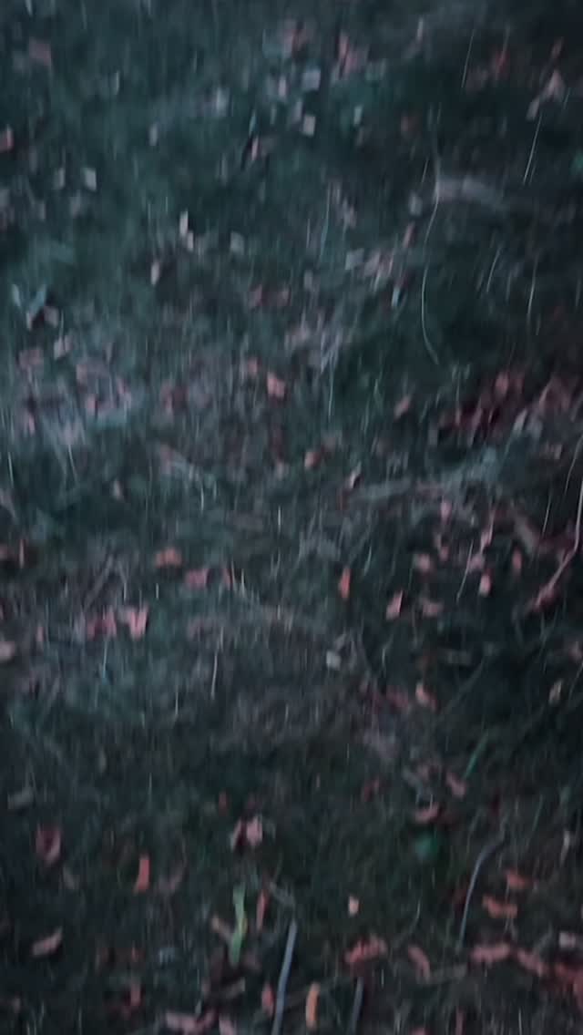 🌊 41.7182° N, 71.3706° W — The frequency softens.
The new Code Carrier lingers by the shore, where the ruins breathe with salt air.
Sacred geometry isn’t always motion — sometimes it’s stillness.
The lattice hums even in silence.
At Rocky Point, the scenery itself is the signal.
Rest. Observe. Align.
The fold expands whether you move or not.
#RockyPointRI #MovinArtists #RhodeIslandCreators #FilmTok #VideographyCommunity #RIArtists #SacredGeometry #QuantumCreatives #RelaxAndRecharge #codecarriers #squad4ourlife