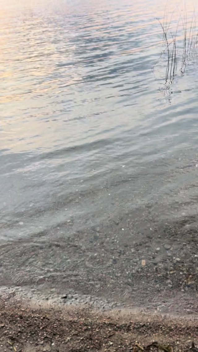 Highlights from Claire’s getting ready morning at a gorgeous lake house with a stunning view in Erinsville, Ontario! ✨
Claire and her bridesmaids looked so beautiful! Thank you for trusting us with your makeup + hair! 💖
Congrats beautiful!! 🥂🎉
💜
Looking for an artist who brings out your natural beauty? ✨
➡️ DM or click the link in the BIO to book! 📩
————————————————
Wedding content by @destinydawnphotography
————————————————
#colourationsmakeup
Luxury wedding makeup and hair
Kingston Ontario makeup artist
Kingston Ontario hairstylist
Prince Edward County makeup artist
Prince Edward County hairstylist
1000 islands makeup artist
Quinte West Ontario makeup artist
Eastern Ontario makeup artist
Ottawa makeup artist
Kingston Ontario airbrush makeup artist
Prince Edward county airbrush makeup artist
Soft glam makeup, natural bridal makeup, flawless natural bridal beauty, bridal makeup and hair, flawless airbrush makeup, wedding party makeup and hair, kingston wedding vendors, prince Edward county wedding vendors, 1000 islands wedding vendors, bridal makeup inspiration, wedding makeup inspiration, wedding hair, wedding makeup