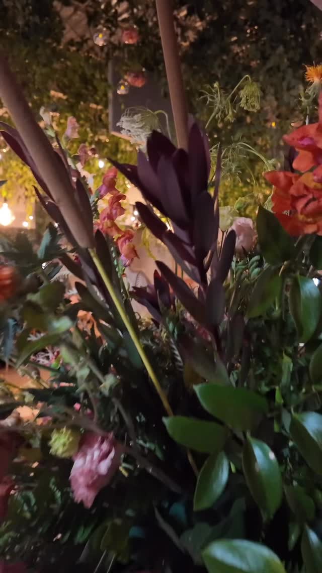 I had an incredible trip to Amarillo, Texas, where I had the privilege of being part of a stunning wedding at Innovation Outpost! Although I didn’t capture a ton of footage, let me tell you—this was hands down one of the most breathtaking garden-themed weddings I’ve ever seen! With over 300 guests in attendance, I brought in concert-quality audio and LED stage lighting that transformed the atmosphere! The band had everyone dancing the night away under a breathtaking garden canopy that covered the entire ceiling! It truly makes a difference who you hire for these events, and that’s why you should always go with the PROS! What an unforgettable experience! #strangepros #innovationoutpost