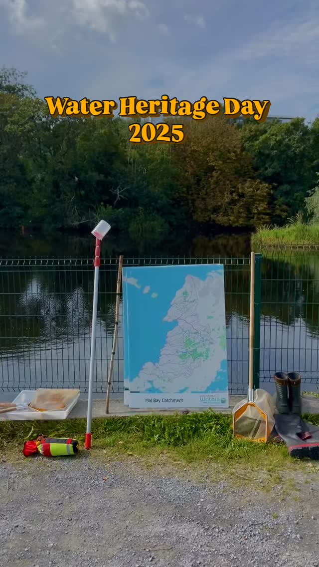 💧🌀 Water Heritage Day 2025 🌀💧
From elvers to otters, we learned about it all!
We started the day learnings about physical water quality properties, before going on a biodiversity wak that covered birds, beasties, fish and mammals.
Thanks again to everyone who attended a Heritage Week event this year, and we can’t wait to see you again at our next event!
Go raibh míle maith agaibh 🌀💧
.
.
.
.
.
.
.
#ennistymon #biodiversity #heritageweek #waterheritageday #nature #ballymacravenriver #ballymacraven #lawprofund