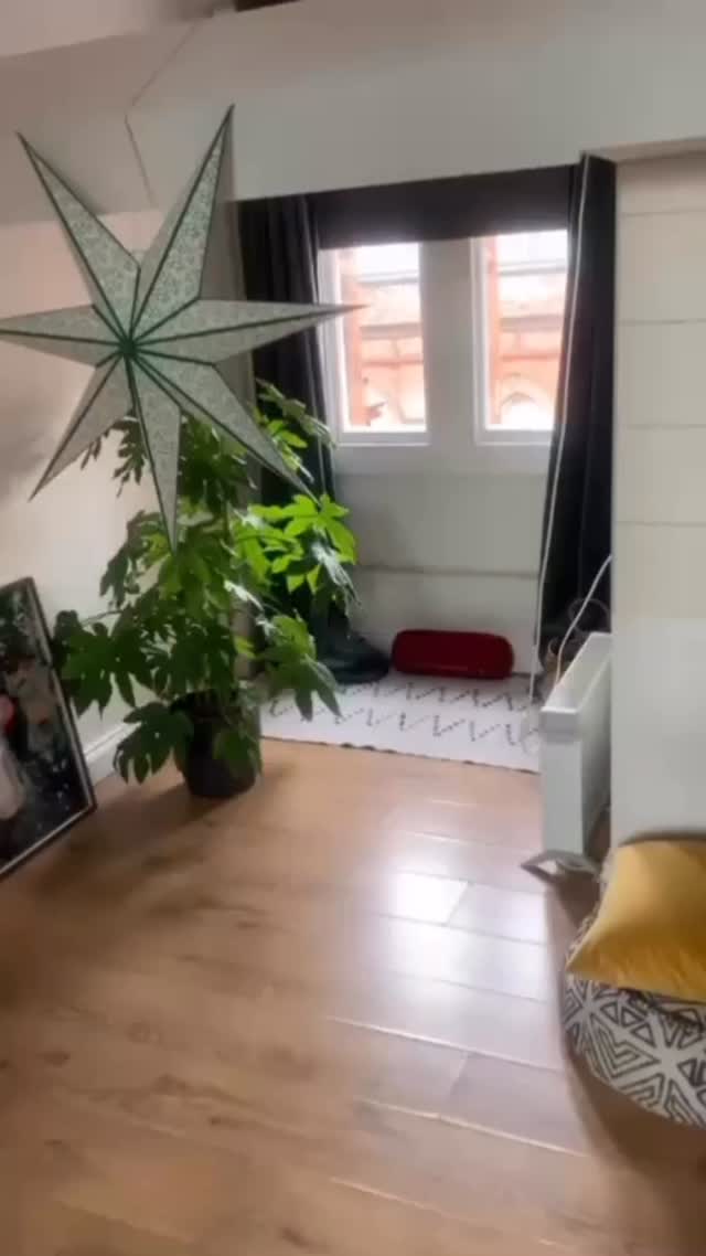 Our monthly social group!
RISE at Anchor Therapy
Reconnect • Inspire • Socialise • Empower
At Anchor Therapy, our occupational therapy–led group RISE is all about building connections and confidence through engagement in everyday activities. 🎲🍕☕
Here, members can:
🤝 Build friendships in a supportive space
💬 Practice social skills in a stress-free environment
🌱 Grow in confidence and step outside their comfort zones
🚀 Build the foundations to pursue work, educational goals, and relationships in the future
We’ve built a thriving community in Dublin — and we’re excited to announce that soon, RISE will also be available in Cork! 🎉
✨ Want to know more? DM us today to find out how you can join.
Together, we connect. Together, we RISE. 🌈✨
#AnchorTherapy #RISEGroup #ReconnectInspireSocialiseEmpower #OccupationalTherapy #MeaningfulOccupation #ConfidenceBuilding #SocialSkills #FutureReady #CommunitySupport #WellbeingJourney #GrowTogether #DublinEvents #CorkEvents