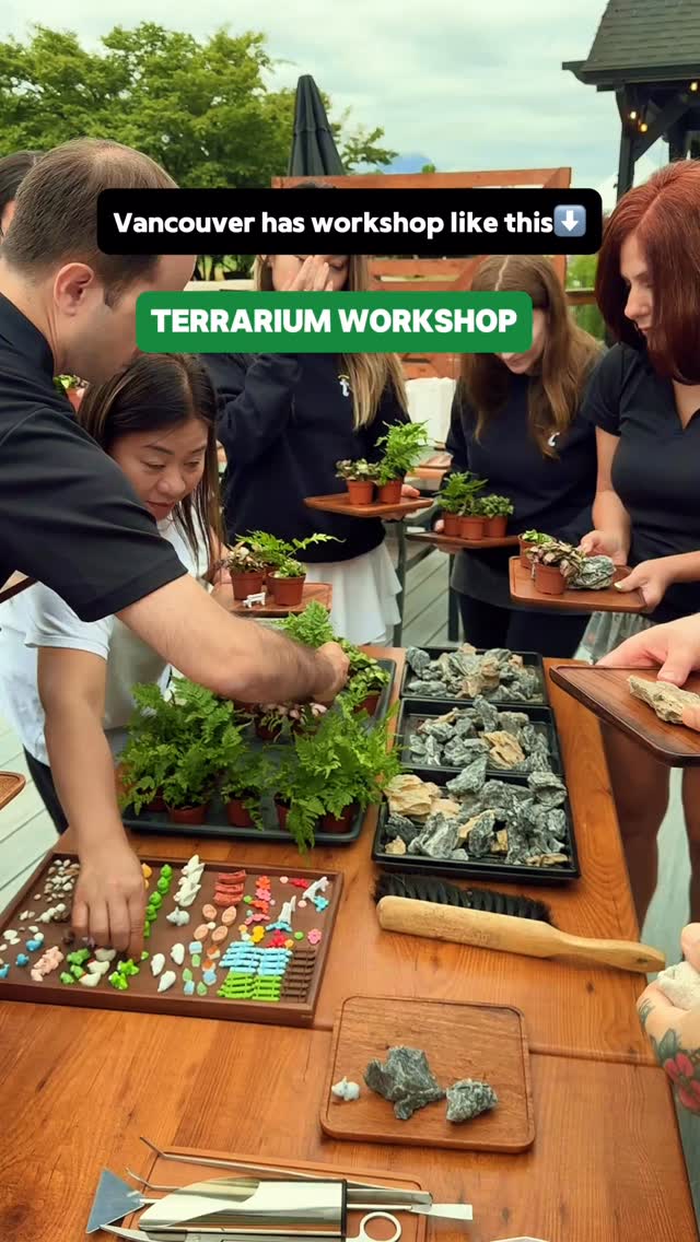 Vancouver team-building idea that’s actually relaxing?!
No loud games. No awkward icebreakers.
Just plants, design, and one of the calmest creative activities you’ll ever try 🌱
#vancouveractivities #teambuildingevent #corporategifts #thingstodoinvancouver