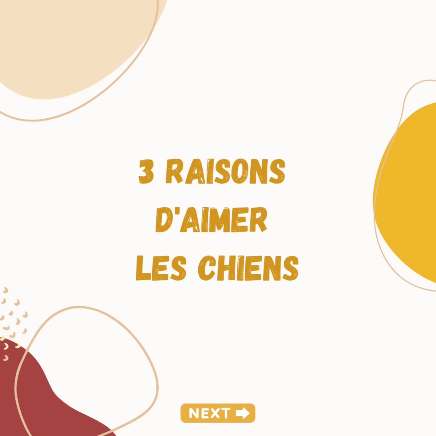 On est d'accord qu'il existe 100000000 raisons supplémentaires d'aimer les chiens ? 🙈
D'ailleurs dis moi en commentaire ce que tu aimes par-dessus tout chez ton chien ! 😍
Personnellement avec Prouti ce qui me fait fondre c'est sa manière de demander des gratouilles aux fesses 😆