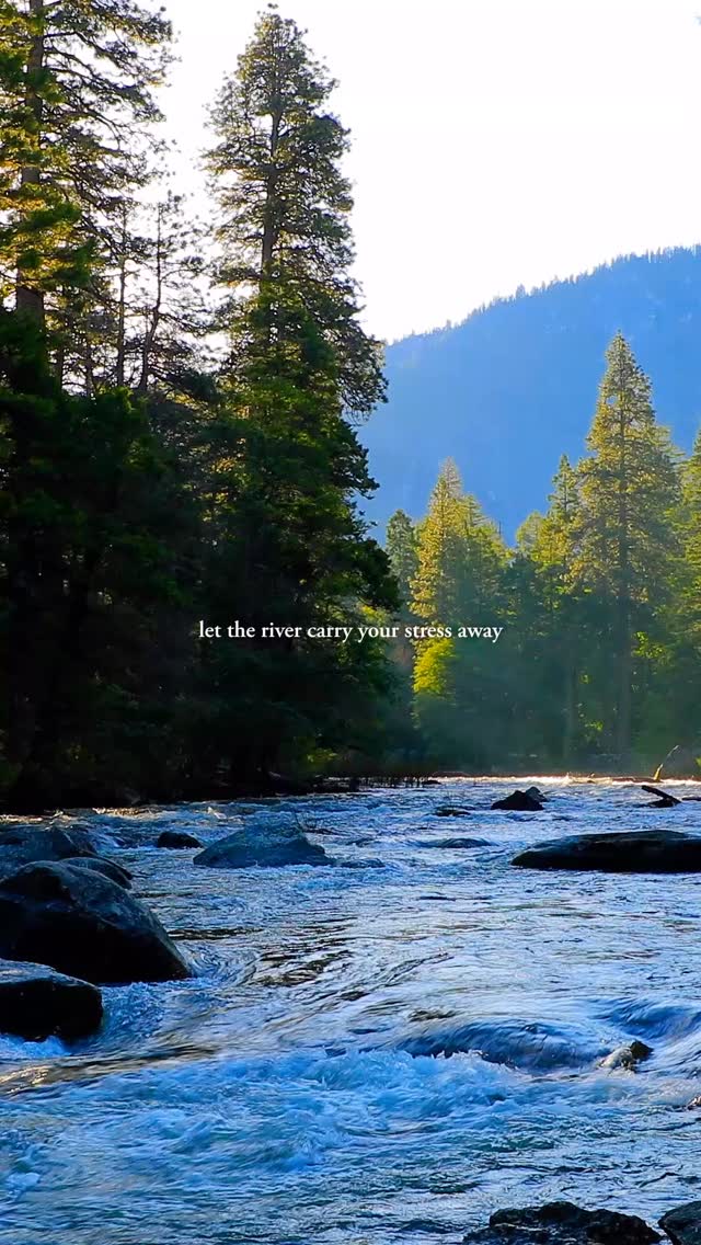 Let the Merced River carry your worries downstream 🌊
Have you explored Yosemite? Share your favorite memory in the comments 🏞️
This peaceful soundscape is designed to help you slow down, breathe deeply, and reconnect with nature — whether you’re winding down for sleep, meditating, or simply taking a mindful pause.
🎧 Full video on YouTube — link in bio
#MercedRiver #NatureSounds #RiverAmbience #Mindfulness #RelaxingVideos #LetGoOfStress #AmbientSoundscape #Naturescapes #Yosemite