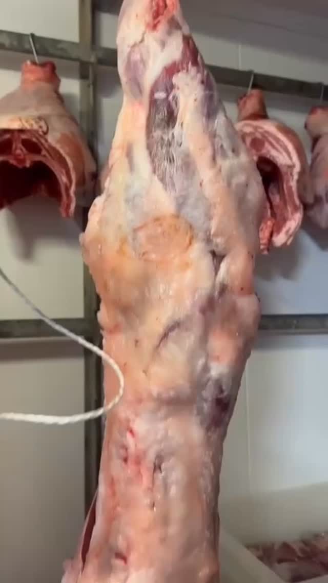 THE GOAT 🐐 👀
That’s right, we’ve got a special for you this week… half the cuts have already been ordered, so pop in now or call up the shop to enjoy some beautiful cuts!
See you soon!
#goast #stayhungrywokingham #delicious #goat #goatcurry #butchers #local #foodies #localbusiness #special