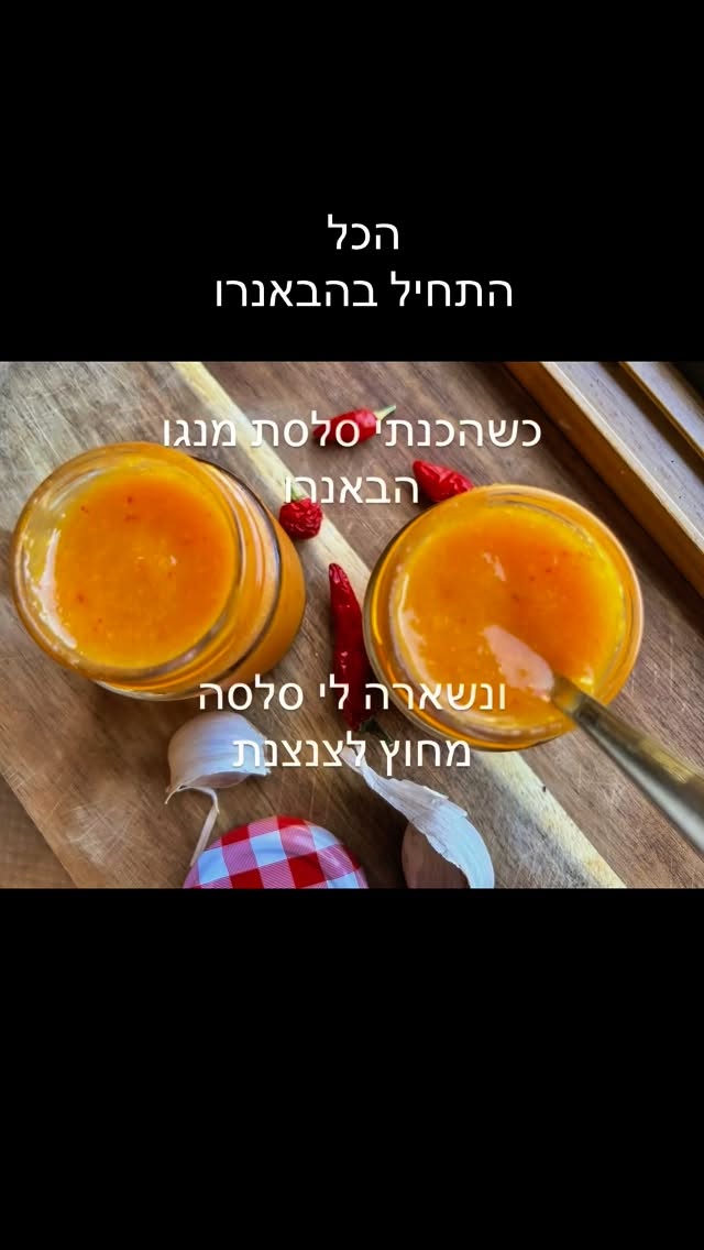 עוף צרוב בסלסת הבנארו מנגו. עוף צרוב בסלסת הבנארו מנגו.