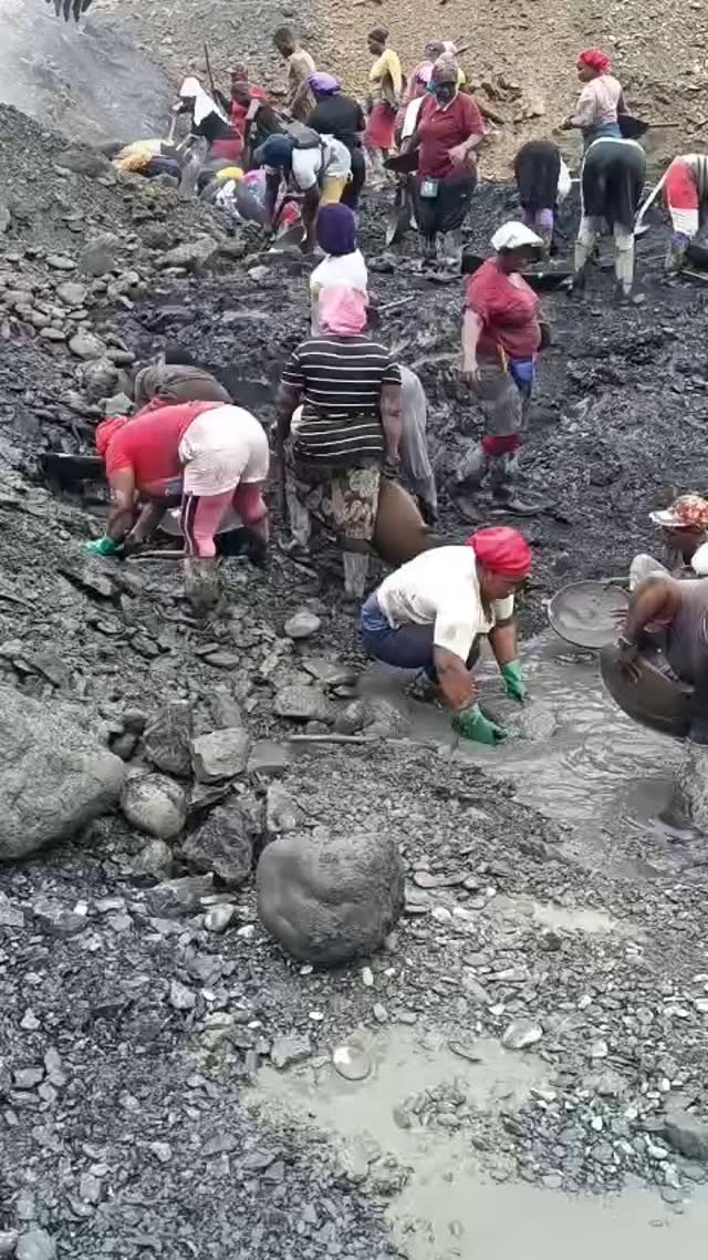 ¡Trabajo en equipo que transforma vidas! 💪🏽🌍
En Veta Mining creemos que la extracción de oro aluvial va más allá de los resultados: se trata de crear oportunidades para todos.
En este video, mostramos cómo no solo se busca el preciado mineral, sino que integra y empodera a la comunidad local. Se comparten horas de esfuerzo, conocimiento y crecimiento, asegurando que el desarrollo sea una realidad para todos.
¡Porque el verdadero valor no solo está en el oro, sino en las manos que lo extraen!
#VetaMining #OroAluvial #MineríaResponsable #DesarrolloSostenible #TrabajoEnEquipo #ComunidadLocal #MineríaArtesanal #Oportunidades #ExtracciónResponsable #ImpactoPositivo
