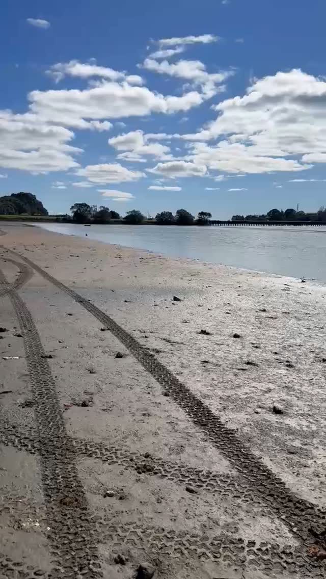 ATV + teamwork = less rubbish in the Harbour.
#taurangacitycouncil #bayofplenty #bayofplentyregionalcouncil #tectnz #acornfoundation #outflow #cleanourseas