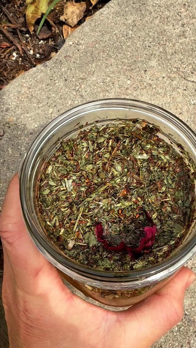 When the #tea calls 🐝
.
Did you know hollyhock is a great moistening #herbal remedy for dryness in the #body ???
.
#sun #brew #selfcare #herbalist