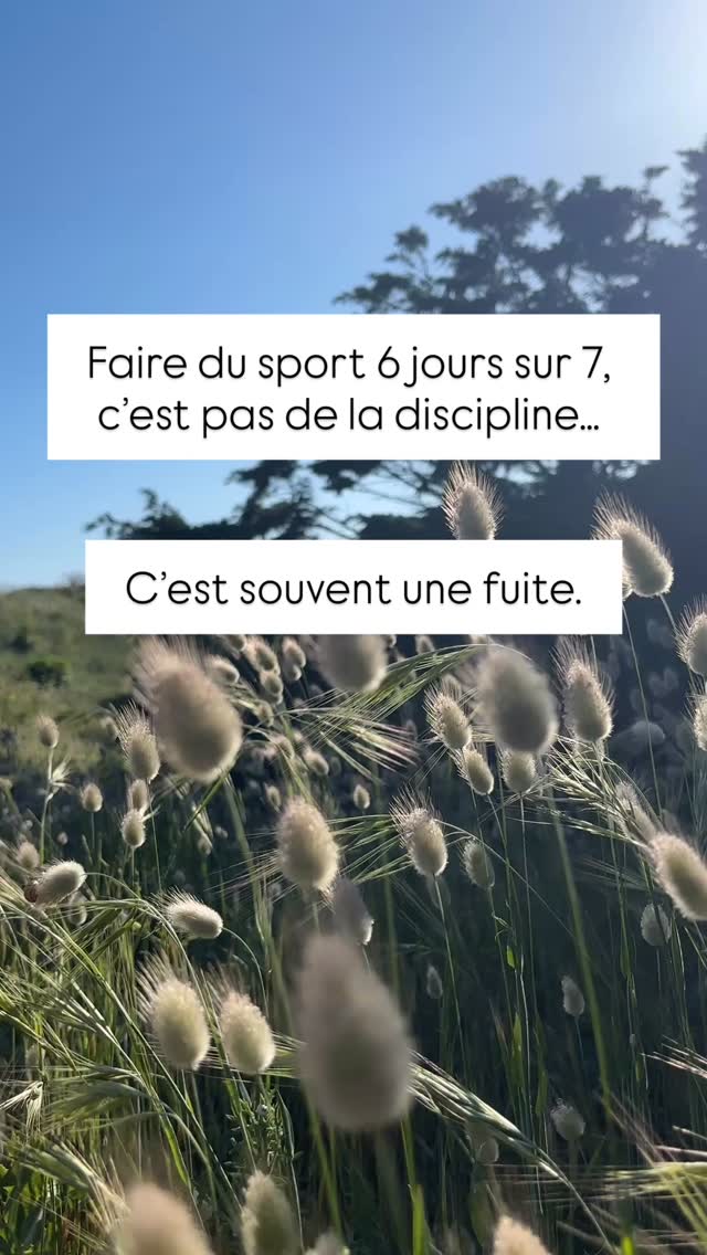 Tu penses que t’entraîner tous les jours, c’est une preuve de mérite.
Mais parfois… c’est juste une façon de fuir.
👉 Fuir tes émotions
👉 Fuir la pression
👉 Fuir ce que tu ressens quand tu t’arrêtes
👉 Fuir la solitude…
Et si le challenge, c’était d’en prendre conscience ?
D’accepter de ralentir. De voir ce qui se passe.
D’écouter ton corps.
De comprendre que le repos fait partie intégrante du progrès.
La fuite ne dure qu’un temps.
Si ça résonne en toi, viens, on en parle ✨
Ou réserve directement ta séance découverte via le lien en bio 💫
#prepa #mentale #preparationmentale #angouleme #charente