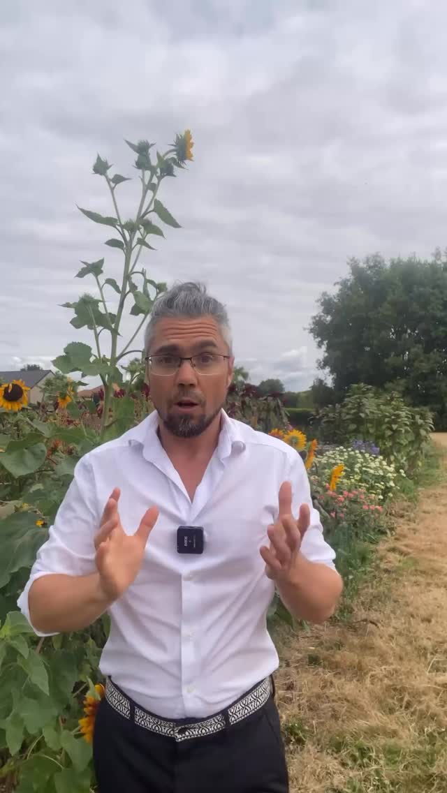 Omgekeerd narcisme #verbindendecommunicatie