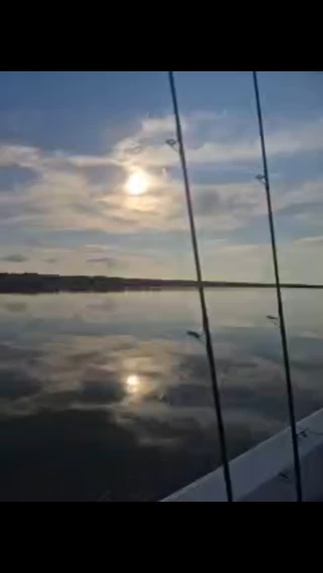 Morning traffic jam!!!!! #buckedupapparellc #coderedfishingcharters #floridalife #floridafishing #floridafishingproducts #newsmyrnabeach #mosqutiolagoon #4horsemancorks #sordknives #kto_customrods