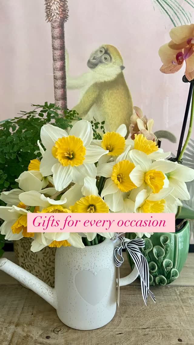 “A thoughtfully chosen gift is always a joy to give and receive “. We have gifts for every special occasion and every budget. Gifts are available with or without flowers. You can choose one gift or create a beautiful gift bag. Order online https://www.thecuriousrabbitflowershop.com.au #balmainflorist #balmaingifts #sydneyflorist #InternationalFlowerDelivery #SendLoveOverseas #sydneyflowers #drummoyneflorist #gladesvilleflorist #rozelleflorist #balmaingiftshop #innerwestflorist #sayitwithflowers #leichhardtflorist #haberfieldflorist #floraldesign