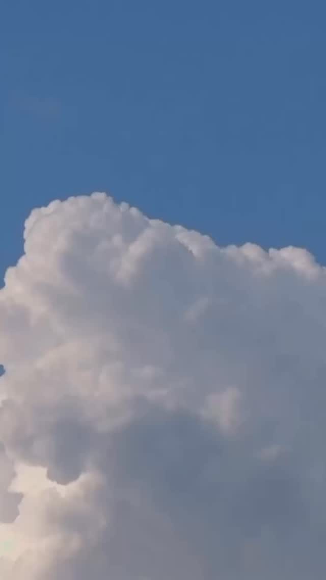 The Jain festival of Paryushan has really inspired me - think it’s wonderful to take time and reflect over our own actions and how we may have impacted others 🙏🏽 I’m still learning about it, please do share how you celebrate 💖 #paryushan2025 #jainism #jainfestival #jainfestival_paryushan #dayofforgiveness #micchamidukkadam🙏 #jainculture