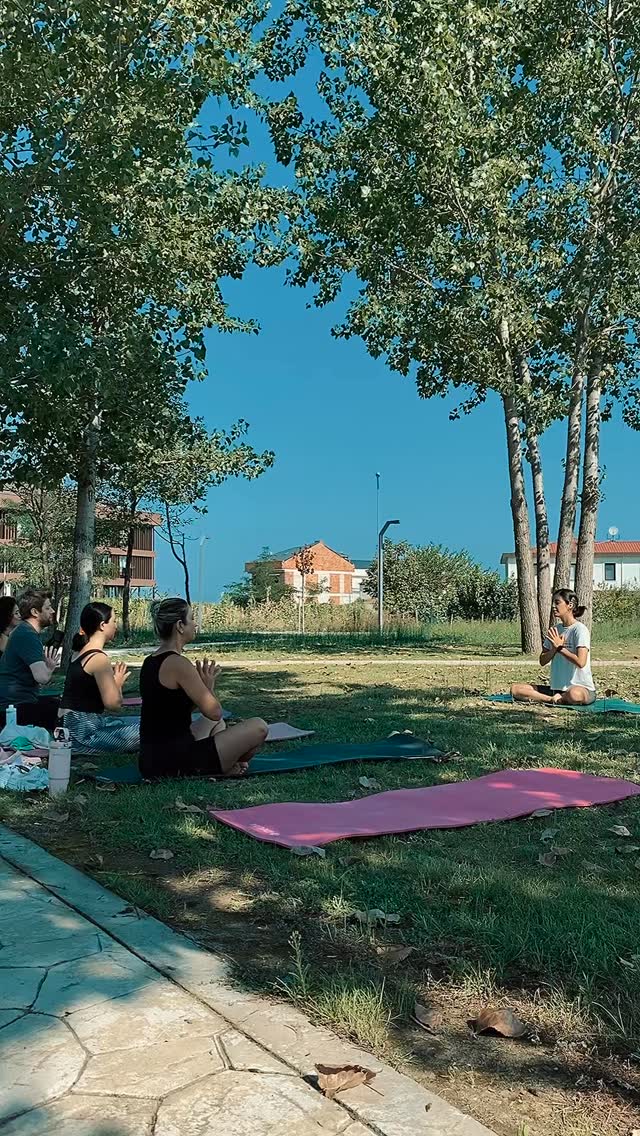 🌿🧘♀️ Yoga Time
Bugün @mugozger.yoga ile birlikte hem bedenimizi hem zihnimizi dinlendirdik. 💫
Müge’ye bu güzel akış için kocaman teşekkürler. 🙏💛
Bir dahakine sen de bize katılsana? 🌸
#ordu #yoga #yogaflow #relaxing