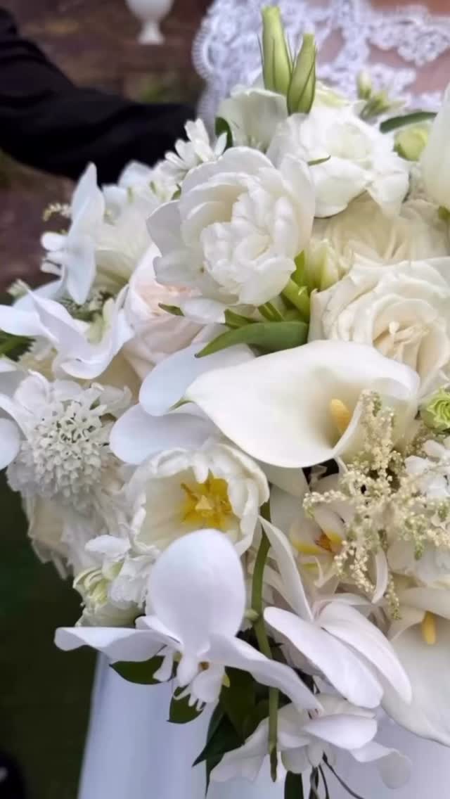 A bride’s bouquet is more than flowers—it’s a reflection of her love story. 🌿🤍 At Villa Magnolias, we adore how timeless white blooms like orchids, tulips, and calla lilies bring elegance to every step down the aisle.
From your first look to your last dance, our spaces are designed to let every detail—like this stunning bouquet—shine with grace and sophistication. ✨
Your forever deserves a backdrop as beautiful as your love, and we’d be honored to be part of your day. 💍
Flowers: @genesiseventosflorales
#VillaMagnolias #LuxuryWeddingVenue #BridalBouquet #greensboro