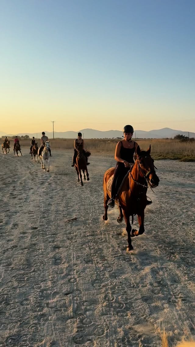 #kos #kosisland #kosgreece #saltlakestables #horseridingkos #horsesofinstagram #horsepower #horserider #equestrian #equestrialife #horse
