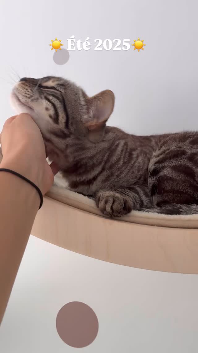 Voici 10 secondes de notre première saison estivale, partagée avec certains de nos pensionnaires