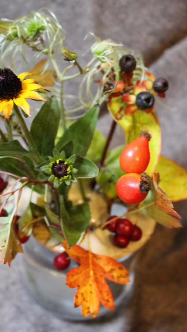 Autumn! Here’s an autumn glow up for my flower frogs. And an insight into my photo shoots (take all the pictures until you get something that works). Available from my website or @independentdesigncollective #ceramicflowerfrog #flowerfrog #jenmakespots #autumn #iloveautumn #notjustforsummer #notjustforflowers #bringtheoutsidein