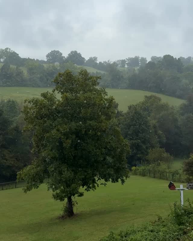 Had some friends over yesterday for a Fall crafternoon. We made candles, room sprays, and keychains. And snacked on pumpkiny things and trail mix like little woodland creatures. So much fun 🍂🎃