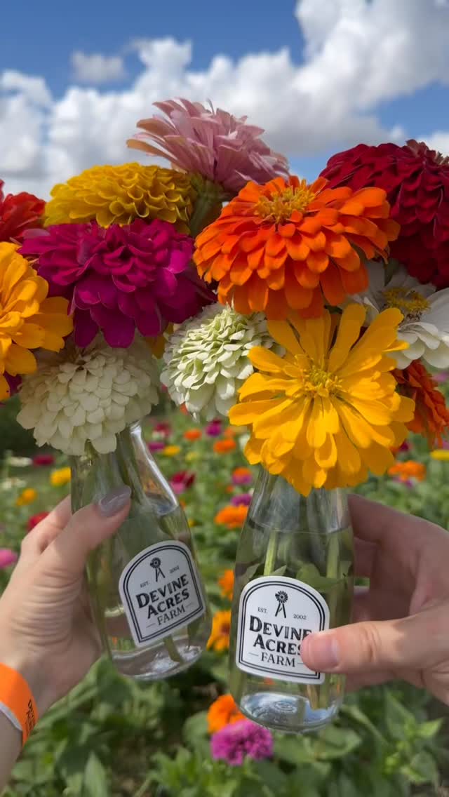 Welcome to the ‘ber months. That means fun is just around the corner. 🎃🍂🍩🌻
.
.
#sanantoniopumpkinpatch #devineacresfarm