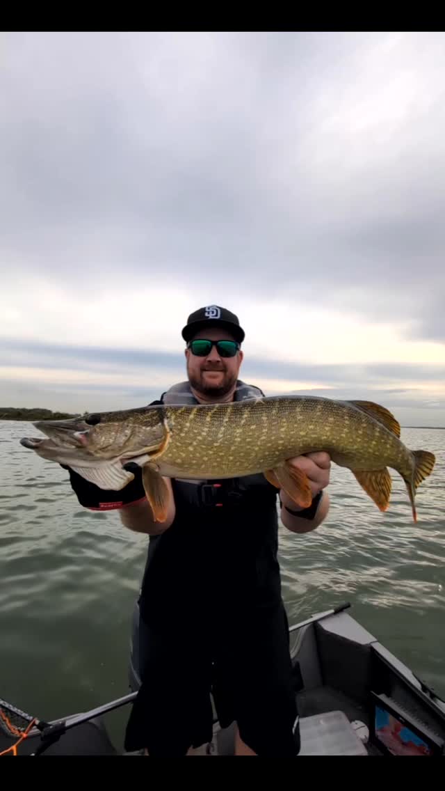 What is this called? Carré?! 🤔
#yamahaprofishing #batterylabs #stcroixrods #spro #proventocatch #hollandsdiep #lurefishingguide #ufxfishing #