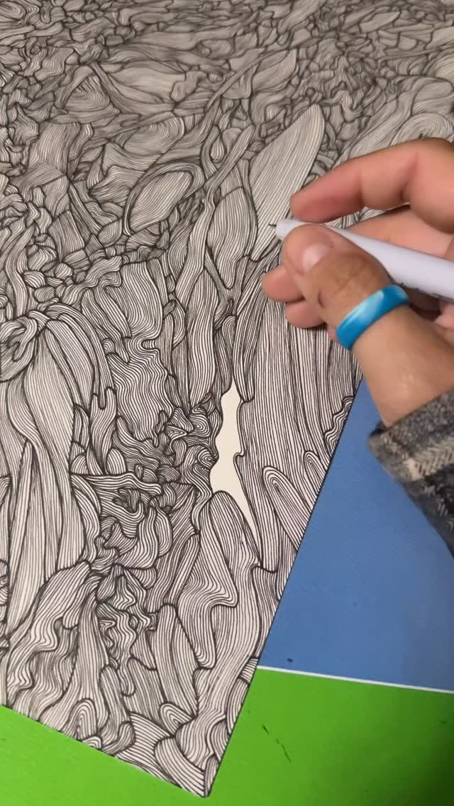Thousands of lines later and this crazy line drawing is finally finished!
#artist #drawing #linework #pendrawings #artprocessvideo #penandinkdrawing