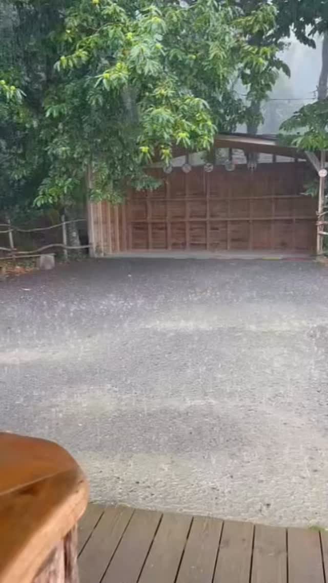 POV : Tu décides de construire un nouveau parcours d’accrobranche en Bretagne, mais il pleut encore.…😏😏😏☔️☔️☔️
Bienvenue au parcours d’accrobranche sous la pluie !
Ici, l’eau est votre alliée et les glissades, votre spécialité !
Et pendant que je construis, je me demande si je devrais prévoir des parka fluo pour les visiteurs. 🧐
Parce qu’après tout, qui n’a jamais rêvé de faire un parcours d’accrobranche en étant aussi flashy qu’un bonbon sous un orage ?
La Bretagne, avec ses averses régulières, devient le terrain de jeu le plus humide de l’histoire.
Je me mets à rêver : peut-être qu’un jour, je devrais ajouter une tyrolienne qui finit directement dans une piscine gonflable.
Les enfants adoreraient !
Alors, pluie ou pas pluie, je suis déterminé à faire de ce parcours le meilleur endroit pour s’amuser…!!!!
#dirinon #funparkdirinon #brest #bretagnetourisme #accrobranche🌳 #sortieenfamille #pluie #ilpleut #bretagnesouslapluie☔ #bzhforever #positivevibes