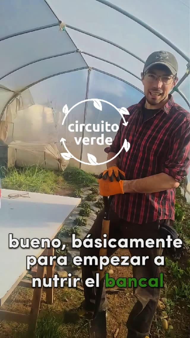 El invierno va llegando a su fin, el descanso del huertero se termina y volvemos a preparar la tierra en la huerta de Circuito Verde para una nueva temporada de cultivos, aprendizajes y comunidad.
Quédense atentos a nuestras redes que pronto estaremos publicando toda la información sobre el Curso de Huerta Agroecológica en el barrio El Frutillar.
Abrazo huertero! ♻️ 🌱