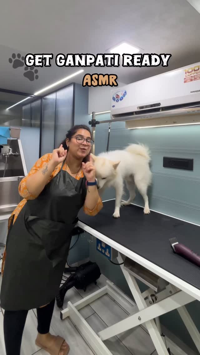 Get your dog ready this Ganpati ✨🐾
#mumbaipetslovers #petstudio #trendingreels #dogsofinstagram #petcafe #trendingaudio #trending #viralinstagramreelsvideo♥️ #viralvideo #viral #viralvideo #trending #groomer #groomerlove #groomertogroomer
(Viralvideo,trending,groomer,grooming,viralvideo)