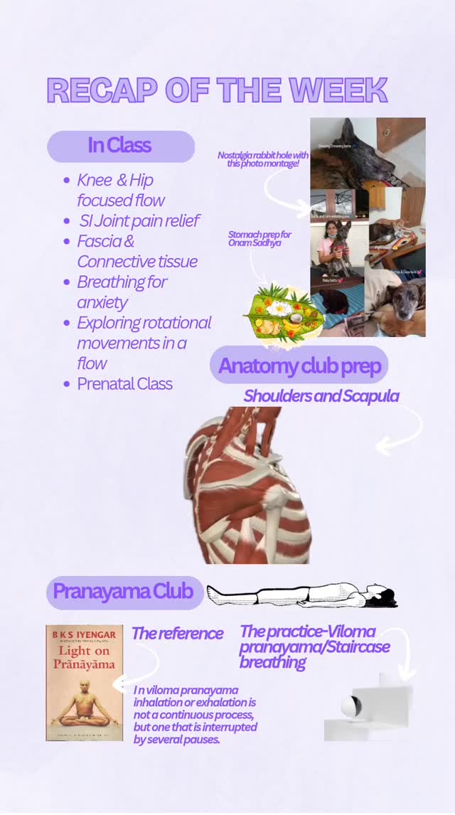 #yogateacher #movementeducation #somaticawareness #yoga #breathing #pranayamabreathing #prana #bksiyengar #onam #doglover #wellness #yogaclasses #womenshealthuk #yogabrazil #riodejaneiro #bangaloreyoga #yogabangalore #anatomy #AnatomyClub