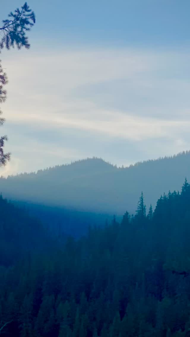 Texture?
As we look ahead into our fall designs we are trying to get a feel for what everyone likes and what we enjoy making. Texture has always been important to us on our forged blades as it shows the rawness of a piece of steel where it has evolved from. For our stainless models this texture has to be ground or filed in by hand for the details. It can give a similar feel but not the same as a true forged look. This Rossi model has evolved over time as our skills have and we could not be happier with how the texture transitions smoothly into the handle. When anyone picks this up and after feeling the balance the second thing they notice is how much more comfortable it feels than it looks. This always makes us smile!
#EDC #craft #handmade #showaltersmithing #pnw #wa #cutcookexplore