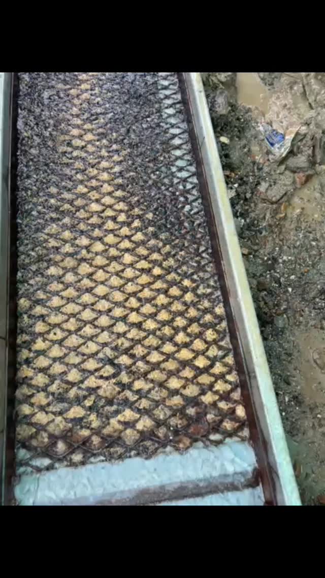 📹 ¡ULTIMOS 2 DÍAS DE EXTRACCIÓN! 💰
#VetaMining #Oro #Minería #ExtracciónDeOro #RiquezaNatural #Tesoro #MineriaResponsable #OroPuro #Éxito #RecursosNaturales