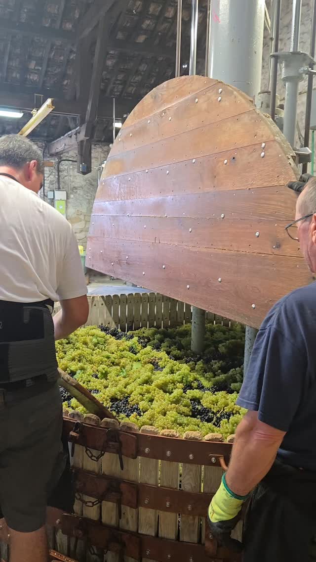 Experience the Champagne harvest from an old press. 
#champagne #champagnelover #luxurylifestyle #champagnelovers #champagnelife #champagneaddict #champagnesecret #champagnemoment #luxurystay #privatetours #privatechampagnetours #gastronomy #champagneluxurytrip