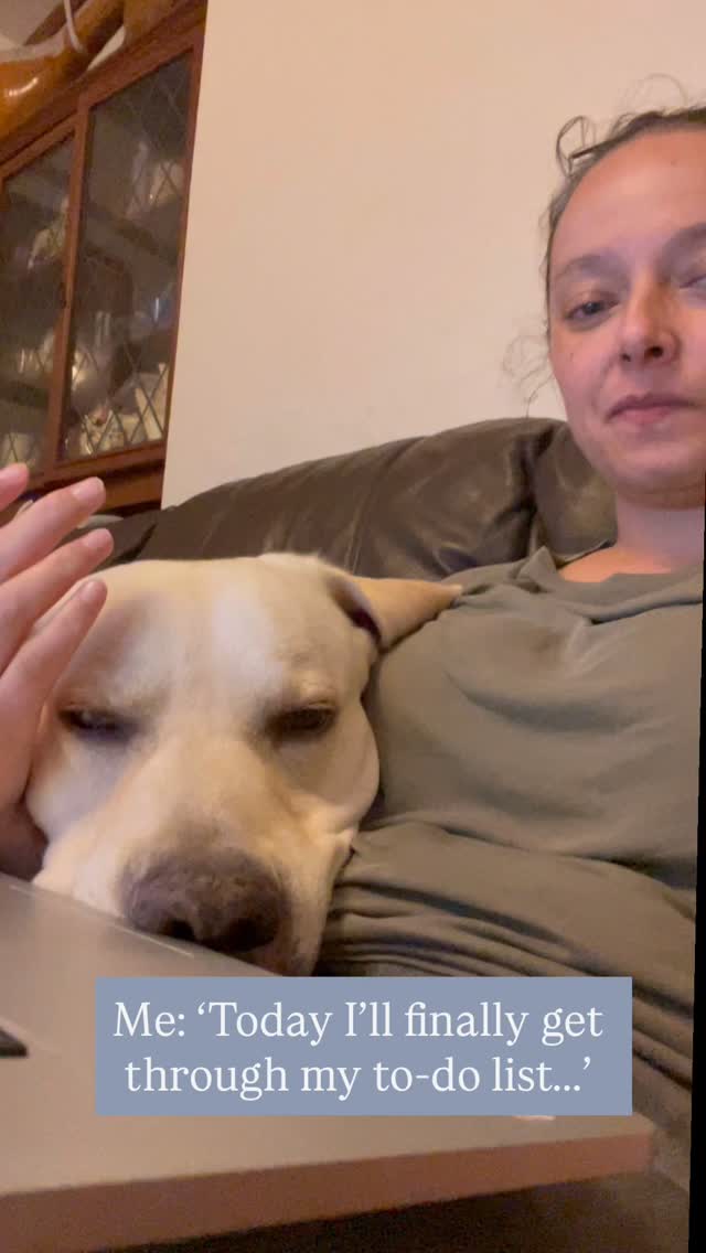 When your work buddy has zero respect for deadlines 😂
Scotch the lab doesn’t care about emails, spreadsheets, or deadlines.
He only cares about one thing: snuggles on demand.
Honestly… can you blame him?
Because when the dog asks for cuddles… everything else can wait. 🐾
👉 Looking for a the best sitter ever for your dog ?
Send me a DM — I’ll make sure your pup gets the love (and cuddles) they deserve while you’re away. 🐶
#DogCuddles #DogSittingLife #LabLove #WorkFromHomeBuddy #DogParentsOfInstagram #PuppyEyes #DogLifeBestLife #FluffyInterruptions #DogsOverDeadlines #PetSittingAdventures #CuddleBreak #LifeWithDogs #DogMomLife #DogDadLife #BigDogEnergy