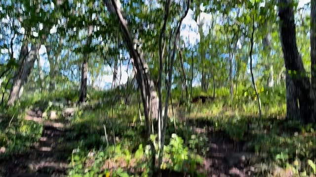 POV: you’re by yourself on the trail and are about to be rewarded with a view for all the work you put in to get to the top. This is the summit view from The Priest in Virginia on a clear day. We hope everyone is enjoying the weekend, stay safe out there!