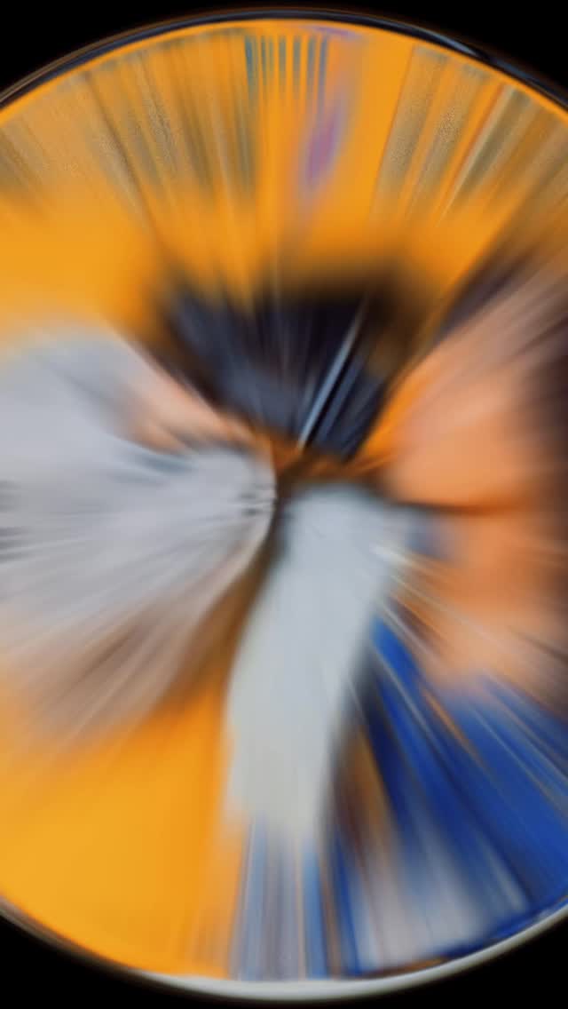 When I create an event, I pour my whole heart into it and I only bring in people who do the same! This one’s all about the Class of ’26 🎓 We’re making senior photos affordable, unforgettable, and captured by some of Colorado’s most talented photographers behind the lens. Join us at E•motion September 27th 12-3pm for an amazing open house! Don’t forget a few outfits! @jmademedia @eazy_media @jessica__cooke @itsfreshsam