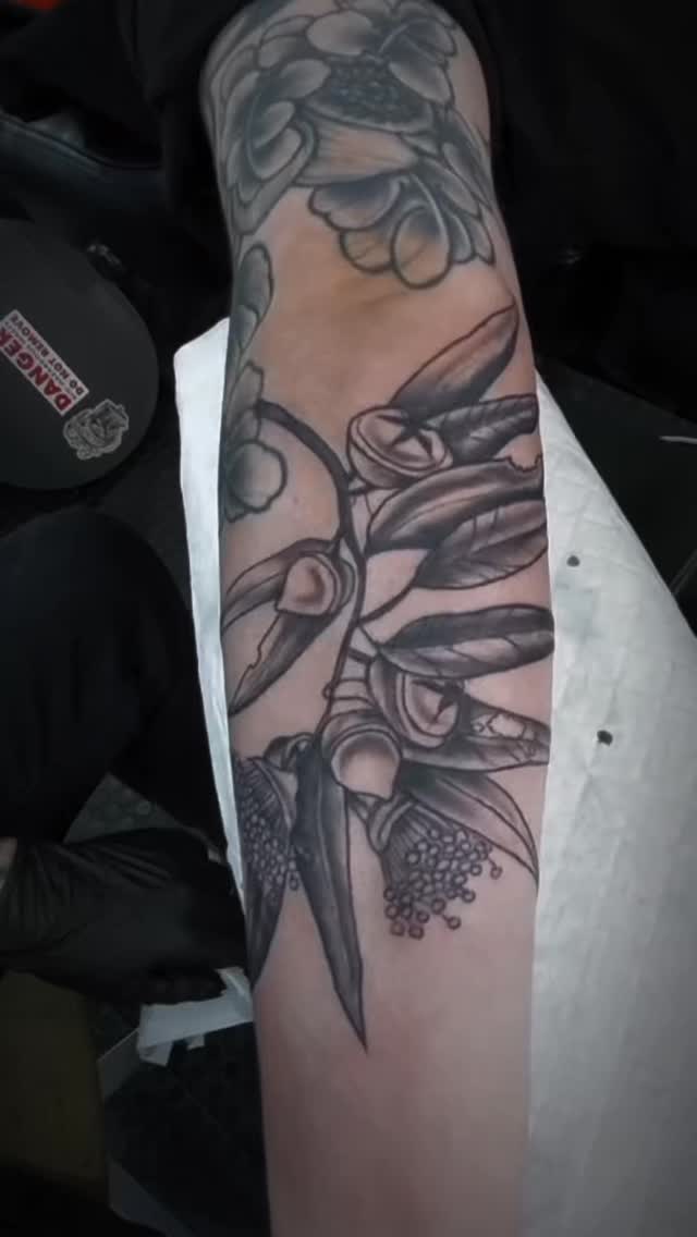 Some Bluegum Blossoms for @curly_kaleidoscope to ad to her floral themed sleeve by Ronnie.
DM or WhatsApp to chat about your own custom piece.
For the tattoo connoisseur 🤓
#capetowntattoo #capetowntattooartist #inkstagram #tattoossofinstagram #capetowntourism #capetowntattoostudio #mrluckystattoo #tattooideas #tattoolove #inked #tattoostudionearme