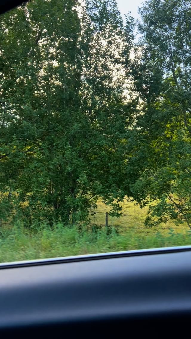 Vi fyller på med mil i Smålands Toscana.
Next up @varnamorullen
#hanärmed
@gohlins @klubbenbygohlins @eabdethaller @hestragloves @hestrainredningarab @garoplatprodukter @garo_emobility_sverige @isabergstoppen @hangonab @axelent_sverige @everbrandswedenab @ehconnector @eleikosport @thule @gnosjoror @gnosjoandan @aerollerskis @leki.nordic @atomicnordic @umarasports @visitgnosjo