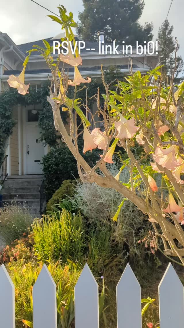 #transitmonth @seamlessbayarea