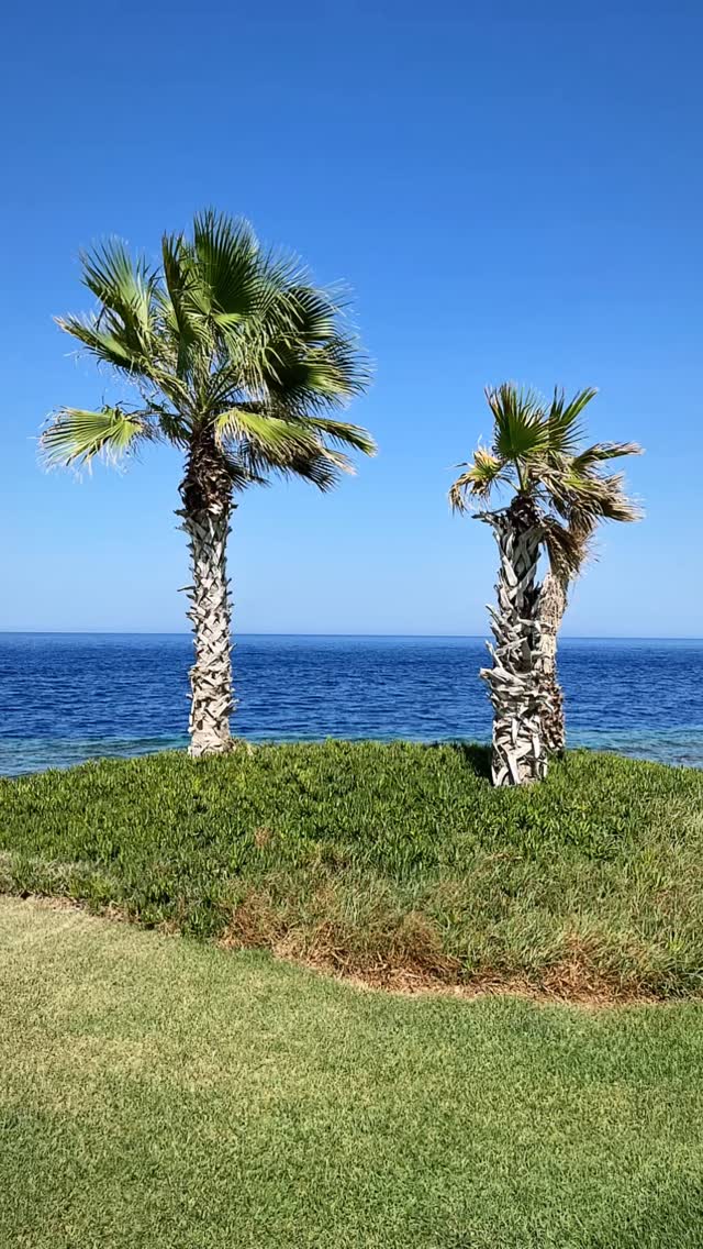 Discovering a golf paradise on the Red Sea for Summer & Winter golf destination & golf Trips organized by @golfpleasuretaste in Cooperation with @physiogolfmarbella
We thank Dear Ahmed from @somabayredsea Marketing & Development for having showed us the whole golf offer! …stay tuned, more has to come.. !!!
#golf #golfcourse #golfaddict #golfclub #golfing #golfacademy #golfers #golfclub #golfcourse #clubhouse #golfcoursephotography #golfswingcoach #golfcoursephotos #golfcoursearchitecture #golfisgreat #golfgti #golfcart #golfisfun #golfresort #golfmanager #golfteacher #golfsimulator #redsea #redseason #marrosso #marrossoegitto